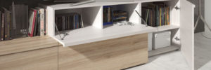 fondo salones neo muebles ramis