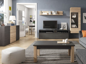 salón neo modelo 521 muebles ramis